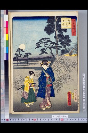 Thirty-Six Pleasures of Edo: Listening to Insects at Dōkan-yama