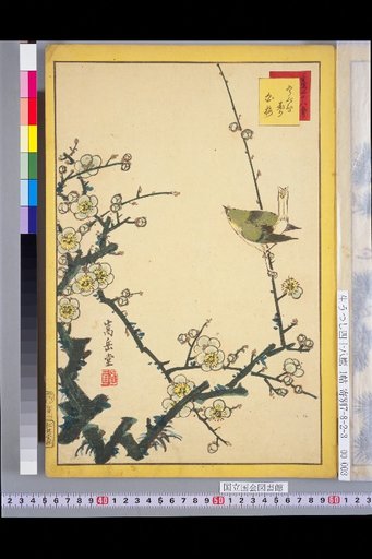 Forty-Eight Hawks: Bush Warbler and White Plum