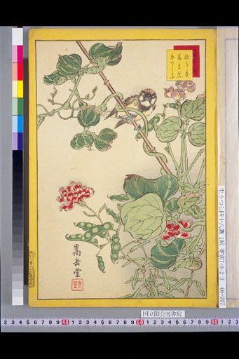 Forty-Eight Hawks: Hō-haku and Pea Flower