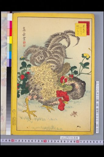 Forty-Eight Hawks: Honey Bird and Snake Strawberry