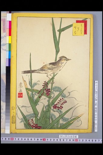 Forty-Eight Hawks: Bush Warbler and Wisteria