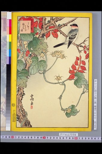 Seiga Shijuhachi Taka: Uso and Haji Asagao