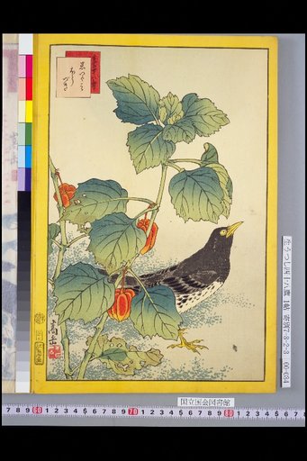 Seiga Shijuhachi Taka: Kurotsugumi and Hozuki