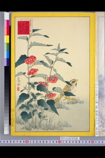 Seiga Shijuhachi Taka: Kojurin and Yochin-sen