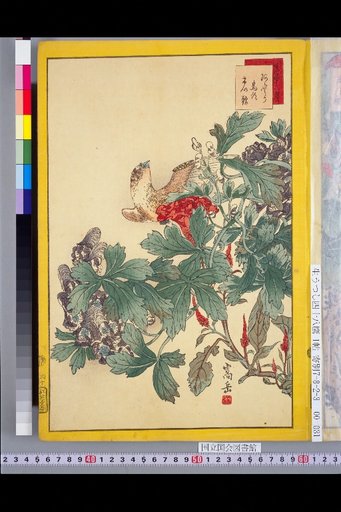 Seiga Shijuhachi Taka: Atori and Uto Keito