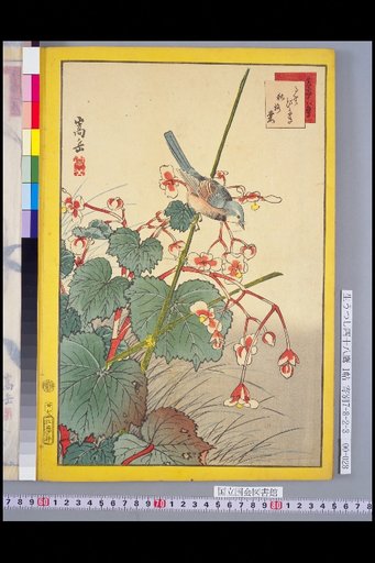 Seiga Shijuhachi Taka: Ruribitaki and Shu-kai