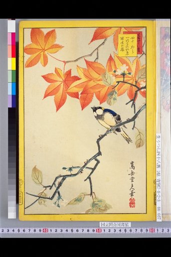 Seiga Shijuhachi Taka: Yonju-kara, Momiji at Issho-ji, and Kaizakura