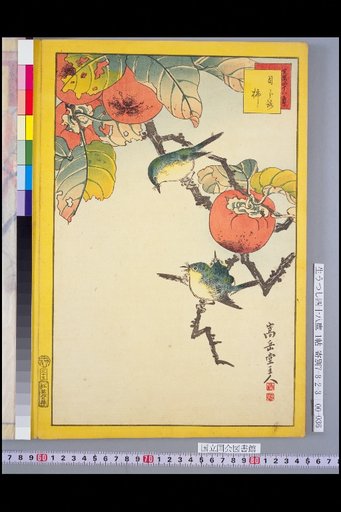 Seiga Shijuhachi Taka: Mejiro and Kaki