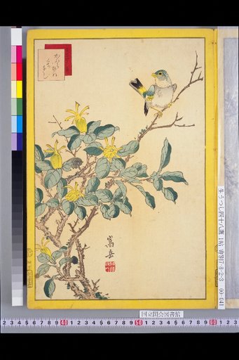 Seiga Shijuhachi Taka: Kawaharibata and Kuchinashi