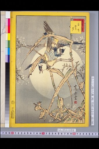 Seiga Shijuhachi Taka: Chidori and Kareashi