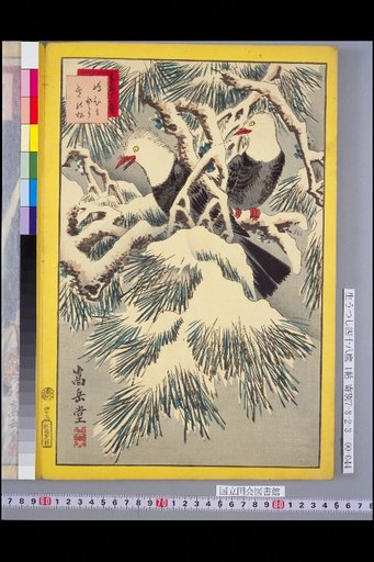 Seiga Shijuhachi Taka: Shima Hiyodori and Yuki no Matsu