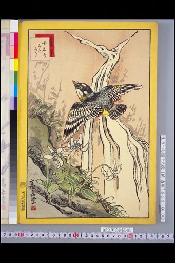 Seiga Shijuhachi Taka: Kikukuri and Katakuri
