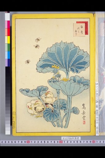 Seiga Shijuhachi Taka: Hina-dori and Tsubaki