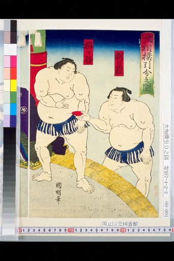 Sumo Draw