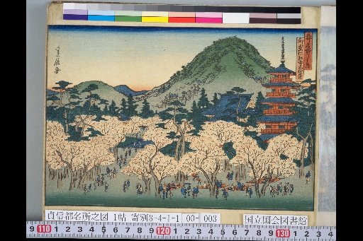 Famous Places of the Capital: Cherry Blossoms in Full Bloom at Omuro Ninna-ji