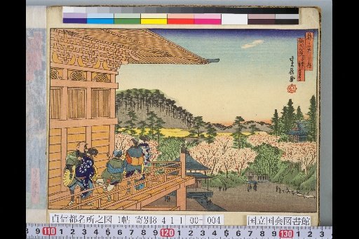 Famous Places of the Capital: Viewing Umbrellas at the Main Hall of Chion-in