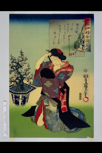 Nijūshi Kō Imayō Bijin: Planting Trees Pleasure