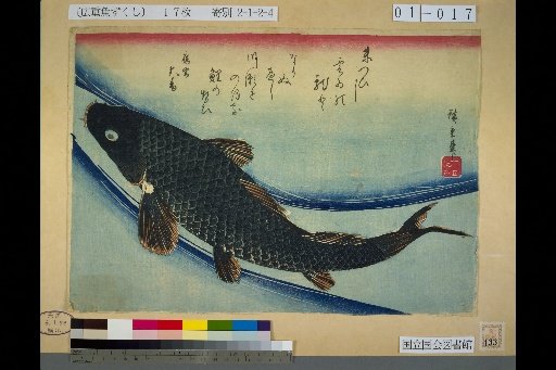 [Carp]