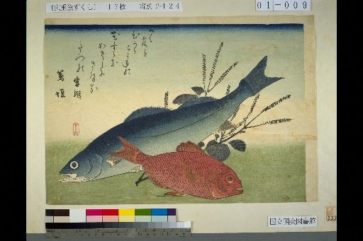 [Sea Bass, Golden Eye Snapper, Perilla]