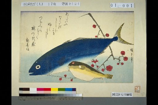 [Young Yellowtail, Pufferfish, Plum]
