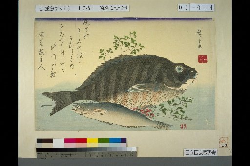 [Striped Sea Bream, Ainame, Nandina]