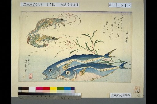 [Jack Mackerel, Kuruma Prawn, Tade]
