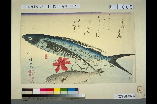 [Flying Fish, Ishimochi, Lily]
