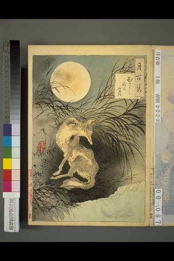 One Hundred Views of the Moon: The Moon of Musashi