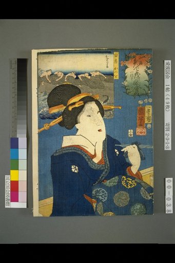 Sea and Mountain Happiness Picture Book: I Want to Receive One Branch