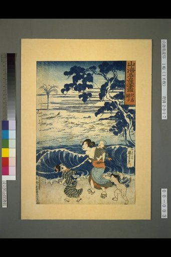 Complete List of Famous Mountain and Sea Products: Whale of Kishu