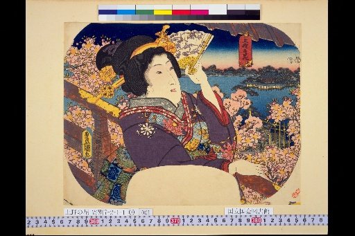 Flowers of Ueno