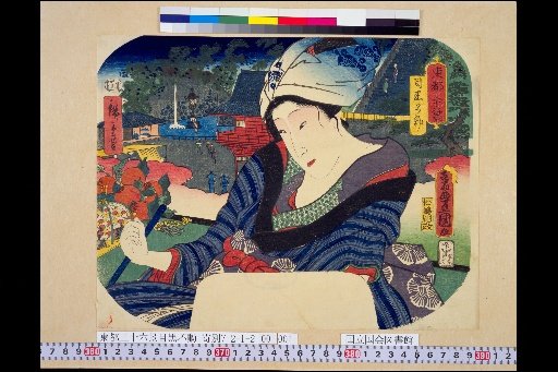 Thirty-Six Views of the Eastern Capital: Meigaku Fudō