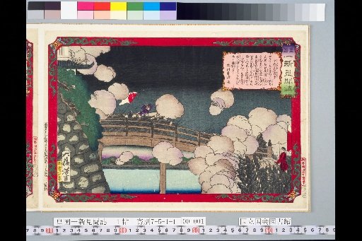 Chronicle of the New Japan: The War at Utsunomiya
