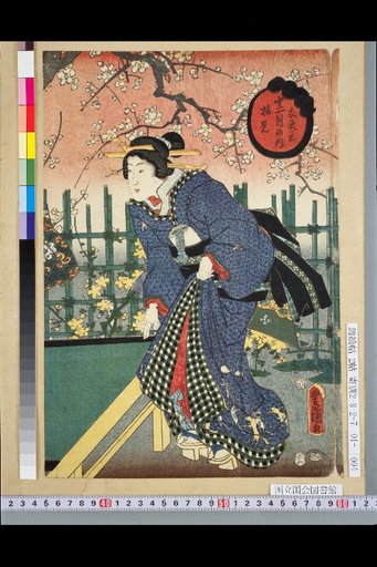 Within the Twelve Months: Kōsode-gaeshi, Plum Viewing