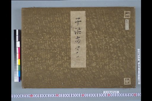 (Cover)