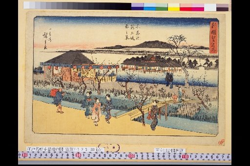 Newly Selected Famous Places of Edo: Shinobazu Pond New Embankment, Spring View