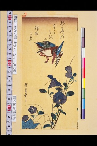 Flowers and River Cicadas