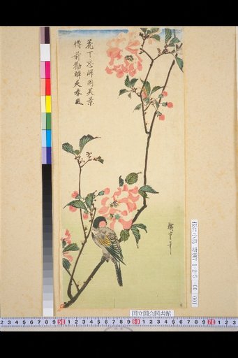 Cherry Blossoms and Small Birds
