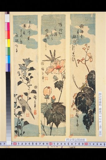 Flower and Bird Tansaku Pictures