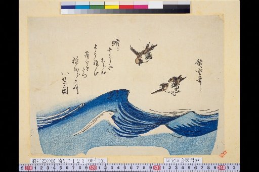 Waves and Sparrows