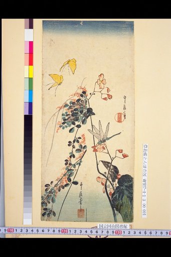A Picture of Grass Flowers, Butterflies, and Dragonflies