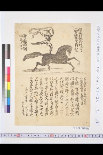 France Circus Horse Print