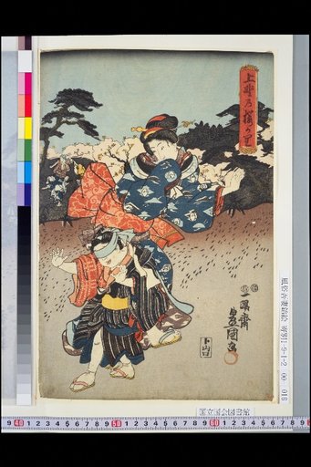 Selection of Ueno's Cherry Blossoms