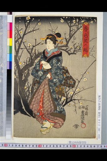 The Pioneer of Spring Flowers