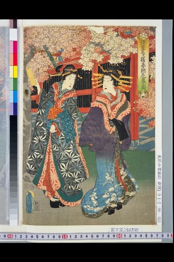 Diagram of the Cherry Blossom Offering and Flower Blooming at Asakusa Temple