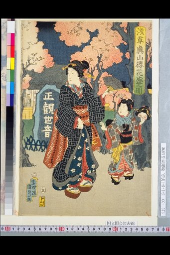 Picture of Cherry Blossoms in Full Bloom at Asakusa Okuyama