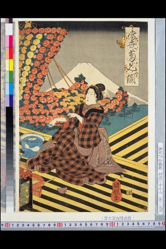 Picture of Viewing Chrysanthemums in the Current Style