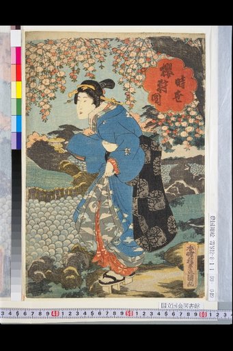 Picture of Cherry Blossom Hunting in the Current Times