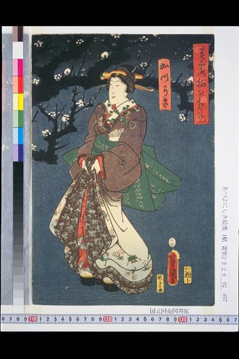 Viewing Plum Blossoms in the Spring Mist