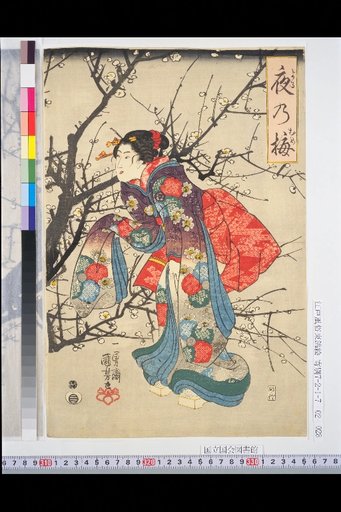 Plum Blossoms at Night